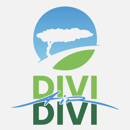 Divi Divi Air logo